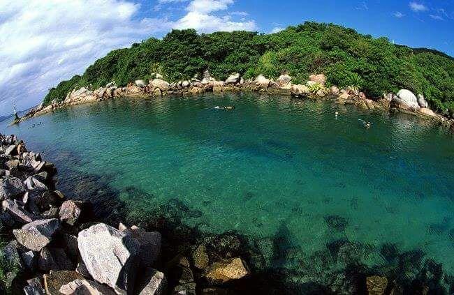 Lirio Dos Vales * Florianopolis